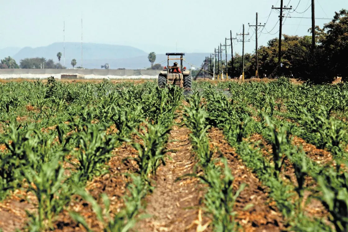 Nuevo régimen fiscal afectará a pequeños productores agrícolas
